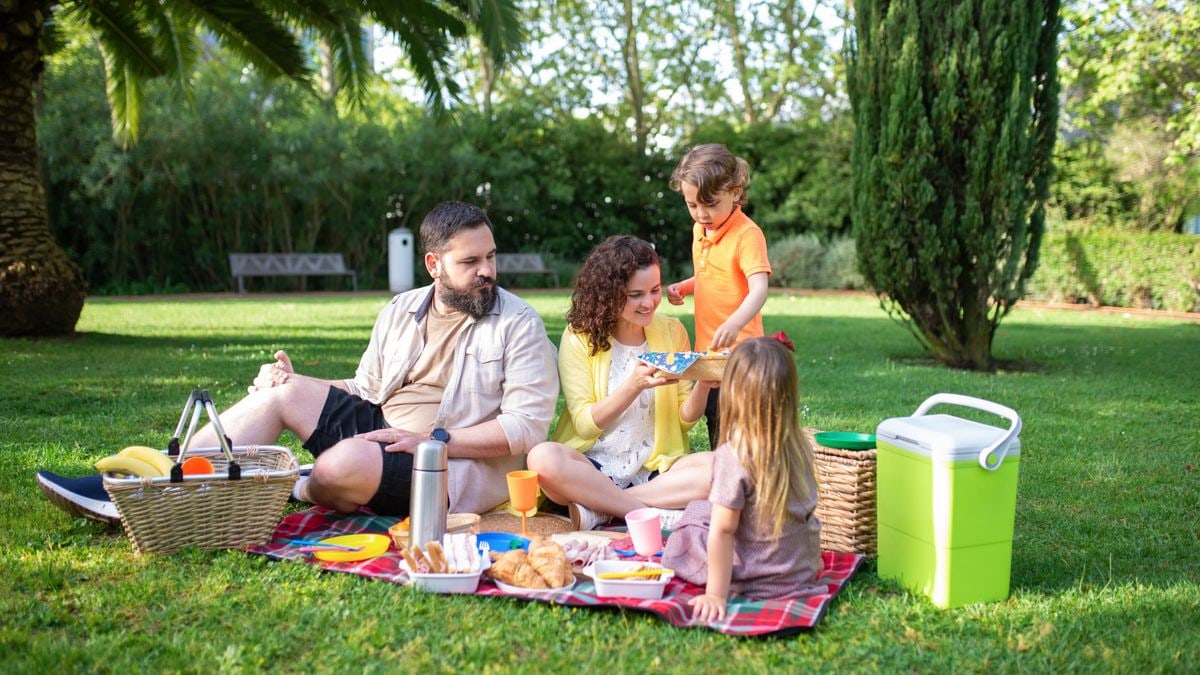 Actividades divertidas para disfrutar en familia